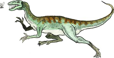 Dinosaurier, coelurosaurier unga fakta