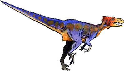 Dinosaurier, dromaeosaurier unga fakta