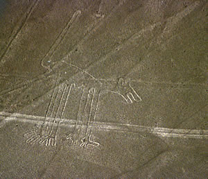 Nazca fälten