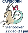 Stenbocken 